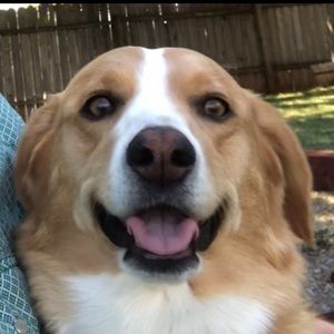 Meet your Posher, Austin